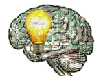 Brain Bubble