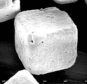 You know the old saying about taking things with a grain of salt? Well, here you are: a grain of salt.