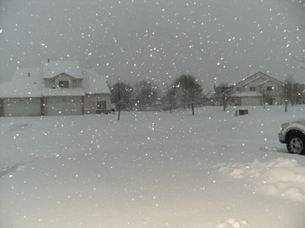 So pretty how the flash captures the snowflakes!