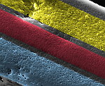 Micrograph of color film showing the YMC layers.