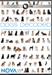 Dogs Decoded