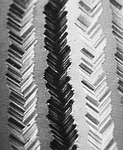 Extreme close up (200x) of three record grooves. You can see the sound vibrations in the groove walls!