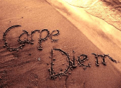 carpe diem