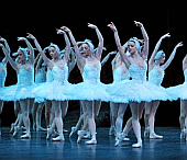 By 'swans' I meant...