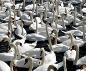 ...yeah, like these.