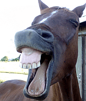 laughing-2