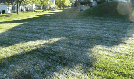 frosty lawn