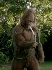 sasquatch