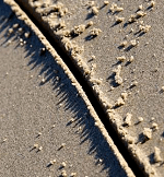 line in the sand