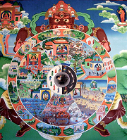 wheel of life
