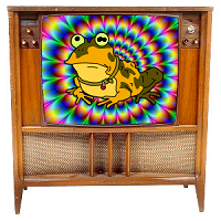 TV Toad