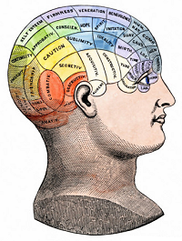 phrenology