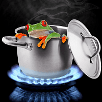 Soon to be boiled frog!